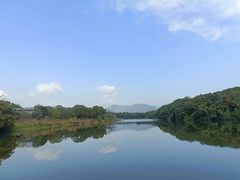 -福建鲤鱼洲酒店