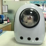 带家里的小祖宗来看病