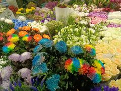 -双季花艺园艺市场(浦东店)