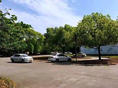 -胜华驾校·小猫学车(银都店)