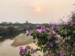 -广东花都湖国家湿地公园