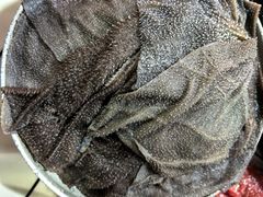 -铜元老码头鳝鱼火锅