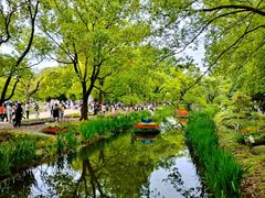 -上海共青森林公园