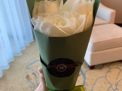 -郑州美盛喜来登大酒店