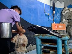-苏州海洋馆