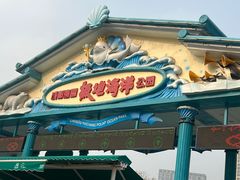 -海合安成都极地海洋公园