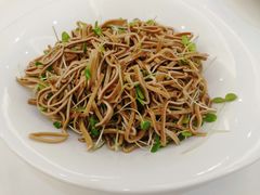 香椿苗拌豆皮-金春禧(世茂国际广场店)