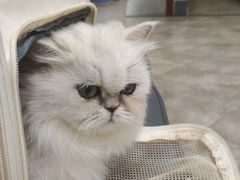 -美联众合动物医院·24h转诊中心