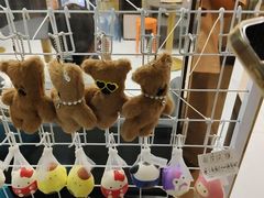 -谜盒子奇幻密室(南屏店)