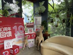 -金芙美月子中心(财富别墅店)
