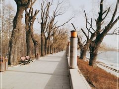 -长春市南湖公园