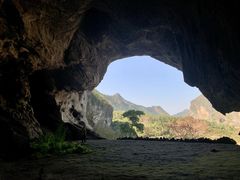 -海南霸王岭国家森林公园