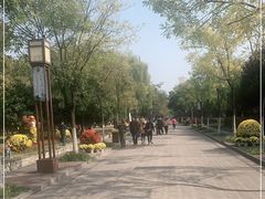 -洛阳市隋唐城遗址植物园
