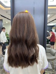 -藤野造型