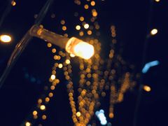 -重庆市江北嘴中央商务区中央公园