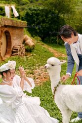 -花漾摄影优选工作室(东莞原创作品店)