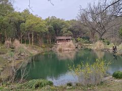 -杭州植物园