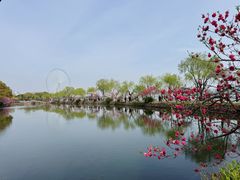 -无锡蠡湖国家湿地公园-蠡园