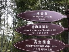 -宁波浙东大竹海景区