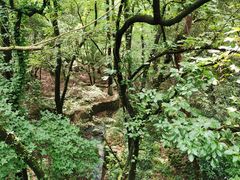 -宁波市保国寺古建筑博物馆