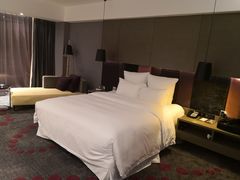 -南京禄口机场雅高铂尔曼大酒店