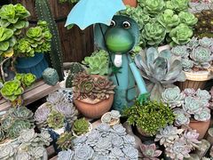 -杨厝六十六农庄农舍(杨厝路店)