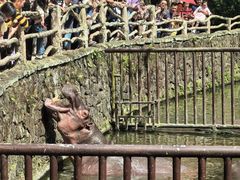 -海南热带野生动植物园