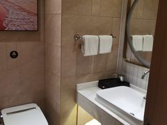 -维也纳国际酒店·长沙世界之窗月湖公园地铁站店