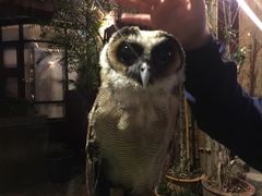 -清迈夜间动物园