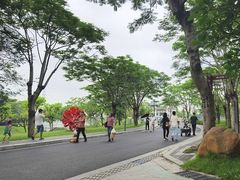 -王借岗森林公园