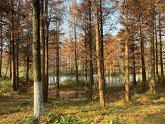 -西溪国家湿地公园