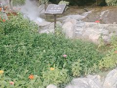 -蘇河湾·新鲁菜·泰山宴(泰山店)