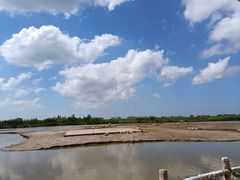-宁波杭州湾国家湿地公园