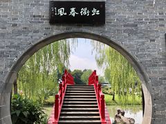 -盆景园(扬州大运河文化旅游度假区)