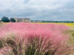 -中国天府农业博览园