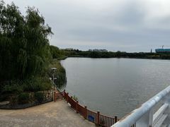 -大兴滨河森林公园