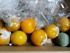 -鲜丰水果(仙霞路店)