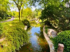 -北京国家会计学院