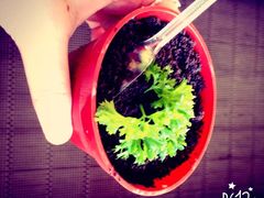 -库塔海滩