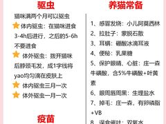 -翊宠yipet猫狗购宠庄园犬舍•猫舍