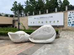 -青岛贝壳博物馆