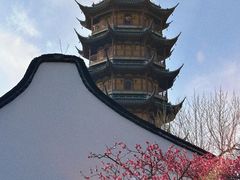 -红梅公园