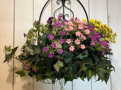 -桃源新村双台子店