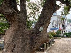 -清漾毛氏文化村