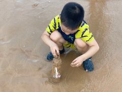 -大京沙滩