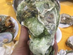 -蚝专家(北滘店)