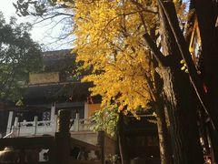 -雨花胜境