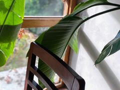 -时光花园(白鹭洲店)