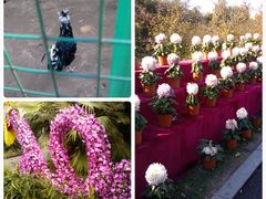 景点-沈阳植物园