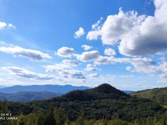 -长虫山生态公园风景林